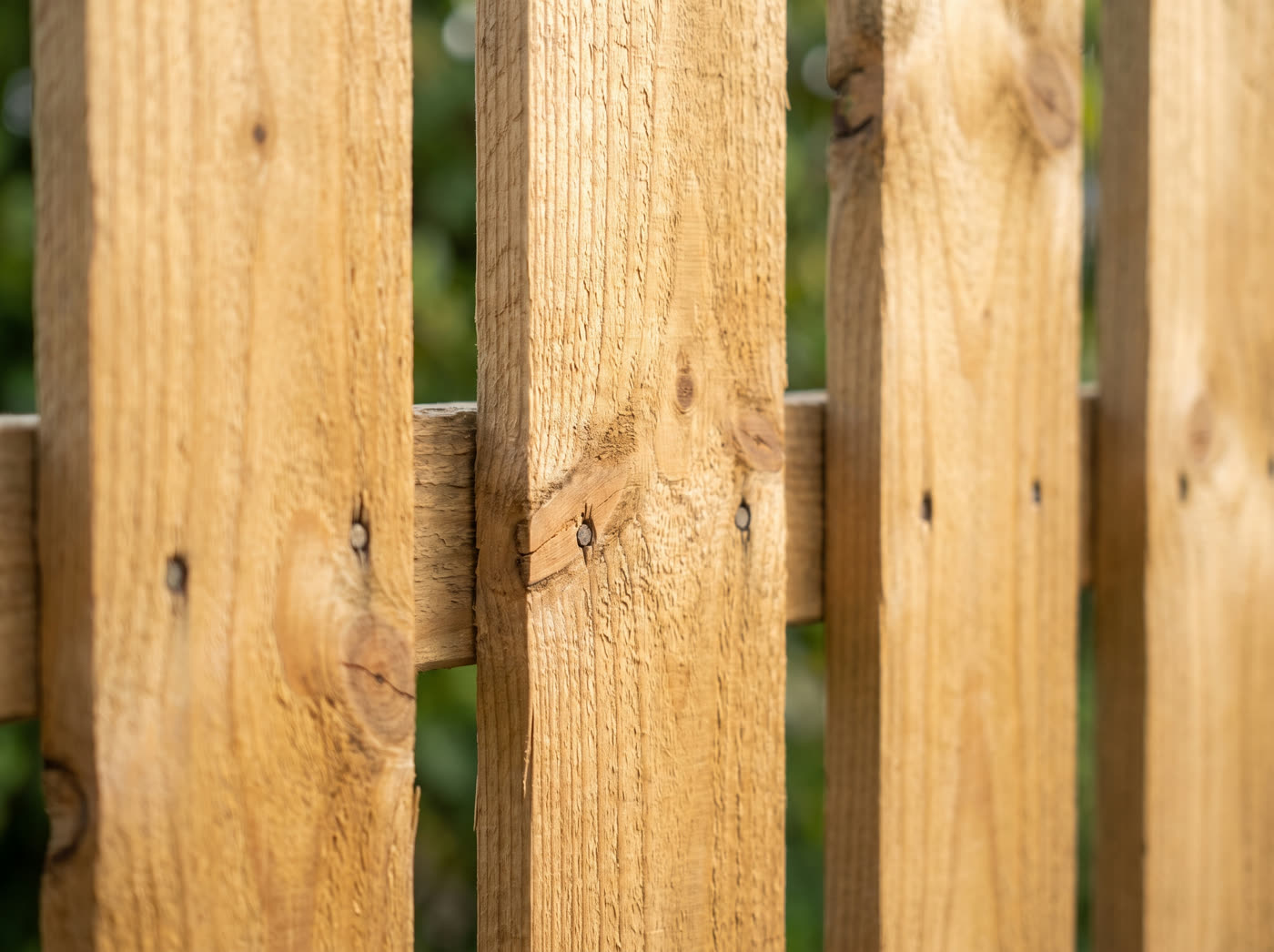 Treated pine timber fence palings